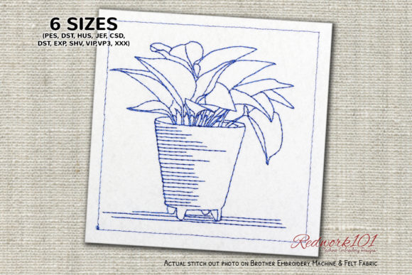 Aquarius Plants Bluework Review