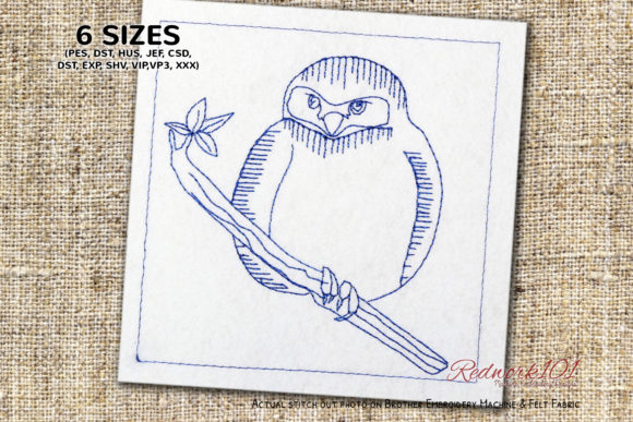 Northern Pygmy Owl Lineart Design
